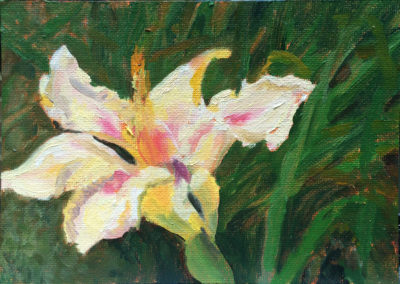 daylily oil painting