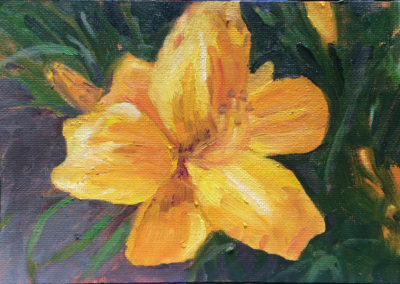 daylily oil painting. bart levy art