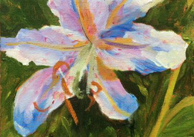 tiger lily oil painting bart levly art