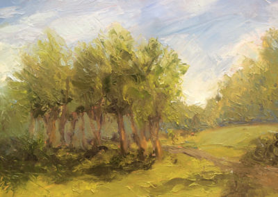 Grove of Trees, Nimrod Hall, Bath County VA original oil painting bart levy art