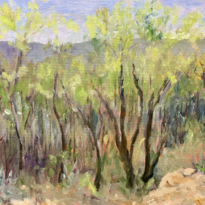 Cottonwoods, original oil painting by Bart Levy