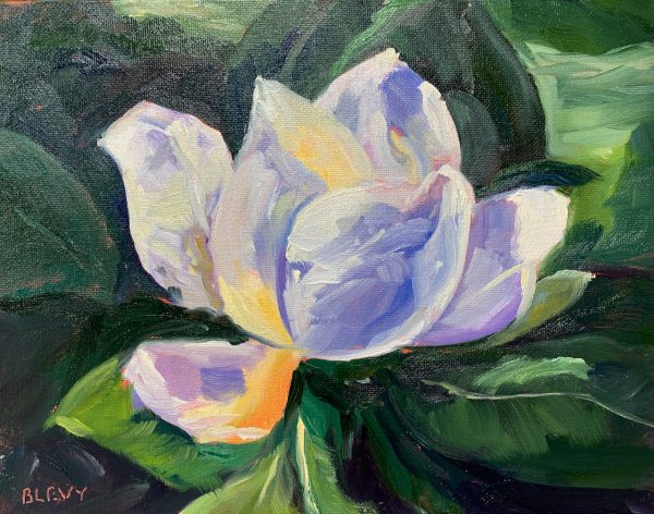 Magnolia Blossom, original oil painting by Bart Levy